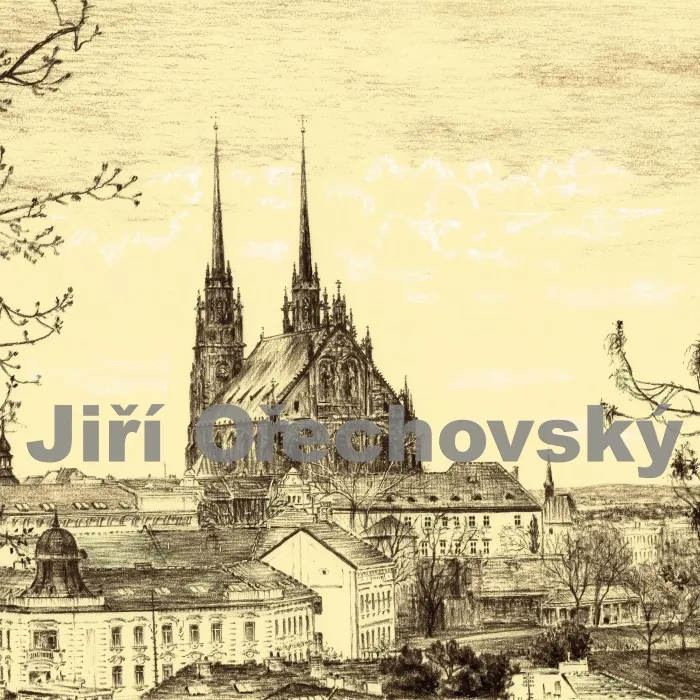 Brno-Petrov od Špilberku