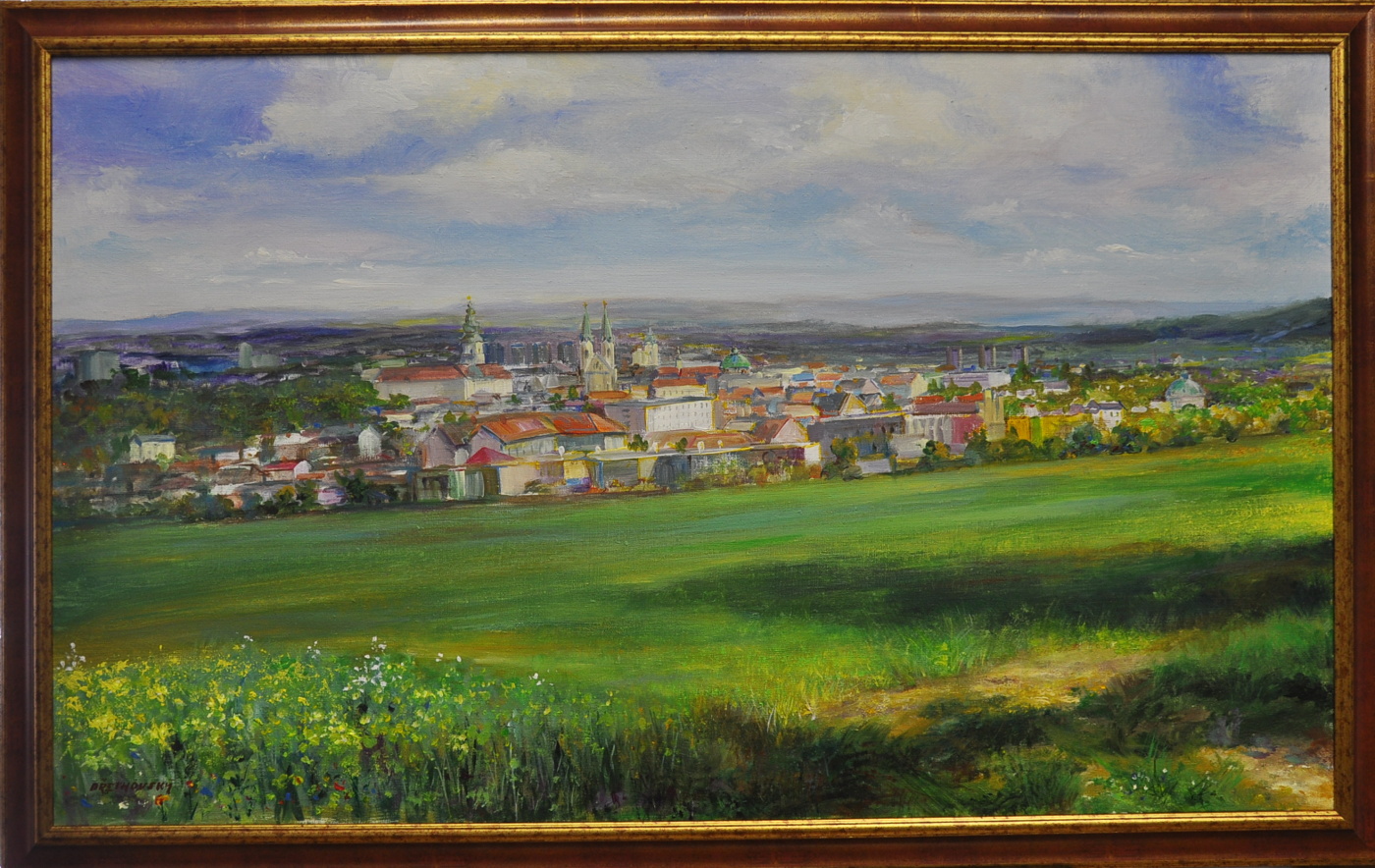 Pohled na Kroměříž z Barbořiny-řepka