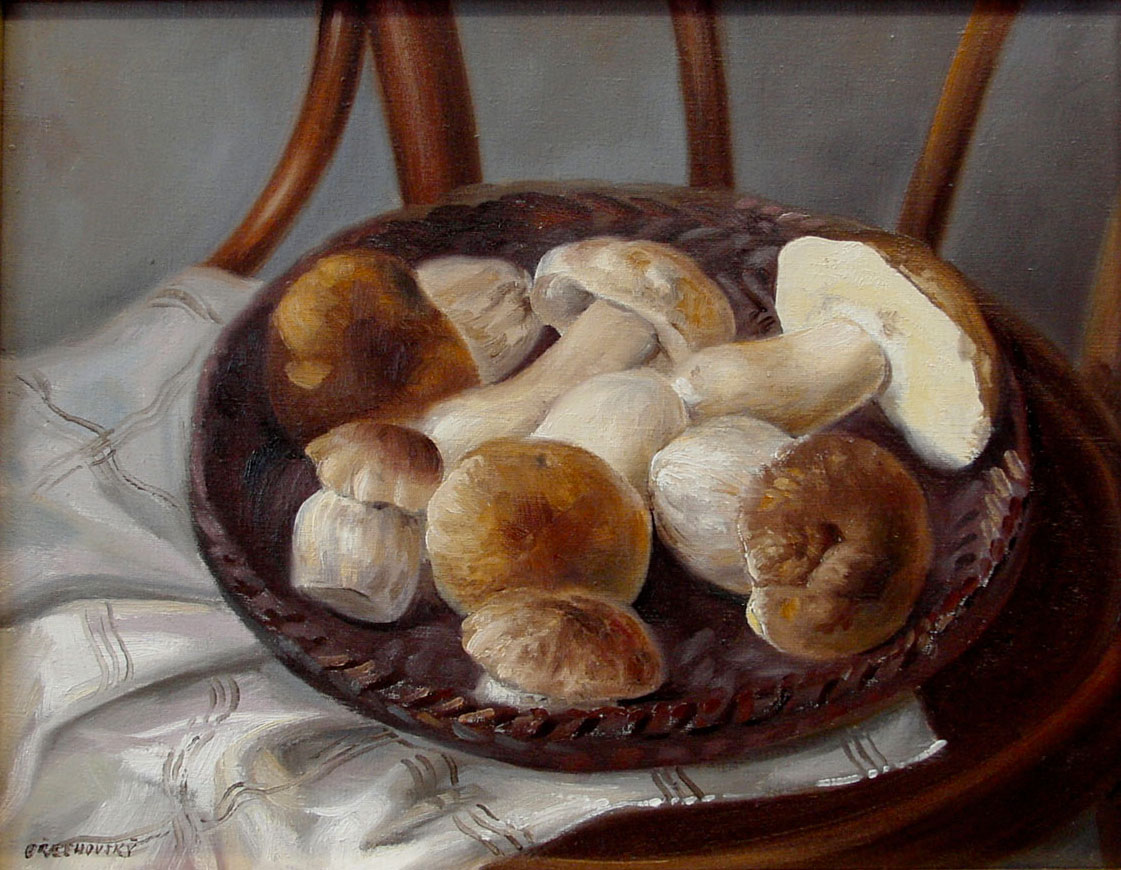 Hřiby I.